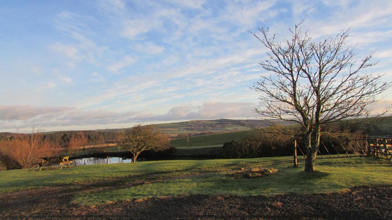 Bed and Breakfast Little Hilton Farm Haverfordwest Zewnętrze zdjęcie